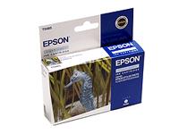 Струйный картридж Epson C13T048540 cyan light for Stylus Photo R300/RX500